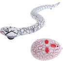 Remote Control Snake Toy: Terrifying Rattlesnake Prank