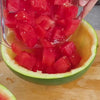 steel slicer-watermelon