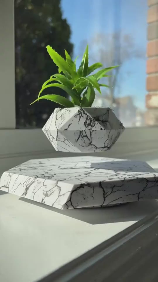 office decor-office decoration-plant pot